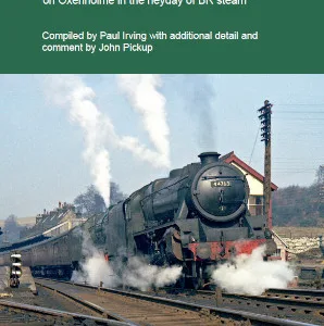 The Alec Mayor Notebooks